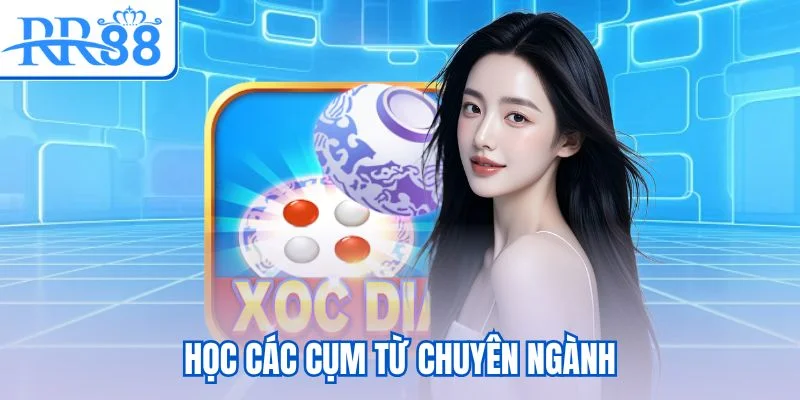 Xóc đĩa đổi thưởng RR88 theo ngân sách hiện có